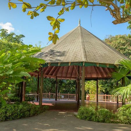 Tropical Escape Villa Очо-Риос Экстерьер фото